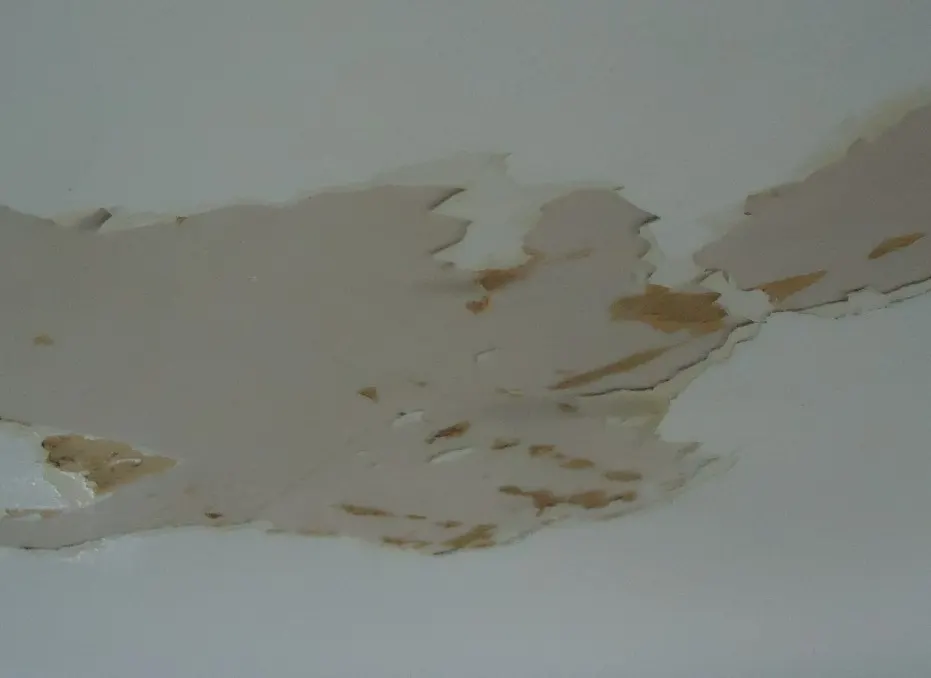 Teto com a pintura descascando e manchada por infiltração.